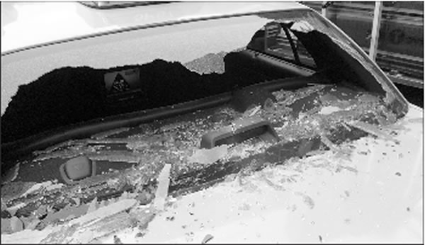 hammerfals-2009-04-09_z