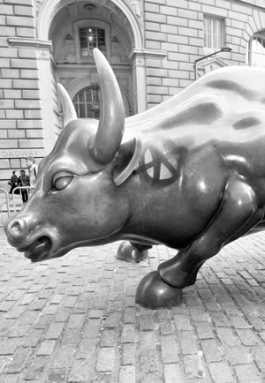 bull-2011-05-25_z