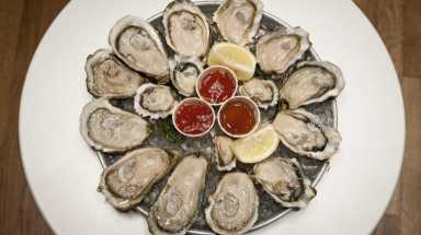 Oysters amny