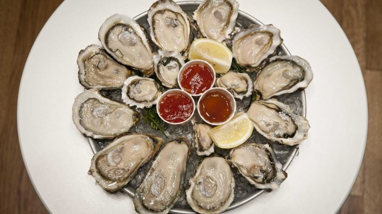 Oysters amny