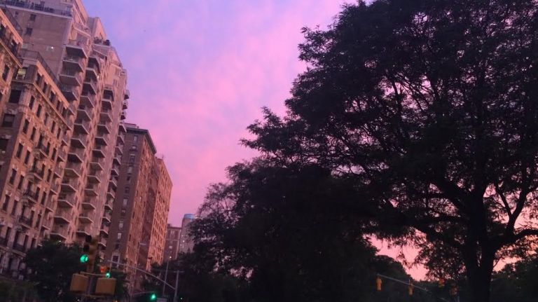 amny sunset 6 cropped