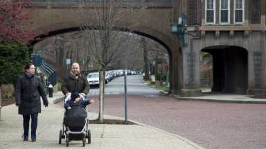 amCLFOREST07 cropped topper