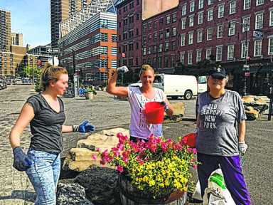 Old Seaport Alliance Old Seaport Alliance board member Amanda Zink, far right, and other volunteers plant flowers at Peck Slip. The Alliance is looking for more volunteers to help tend the plants throughout the summer and into the fall.