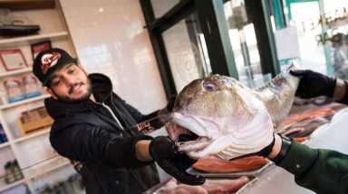 AMEAFISH1129_JFJ_WEB