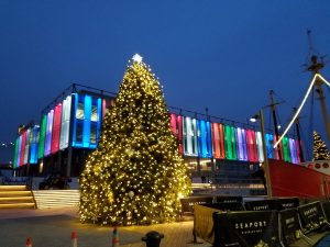 Seaport Report: December 2017 3 The Seaport Christmas tree in exile, by the docks in front the festively lit Pier 17 building.