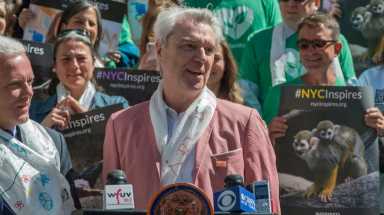 amNWLIBR190522_photos