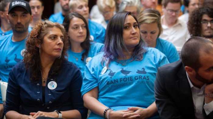 Foie gras ban draws heated debate at City Council hearing 3