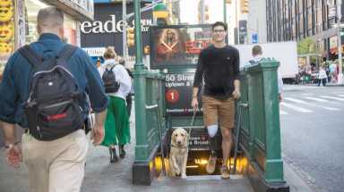 amNWDOGS190627_photos