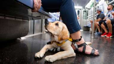 ampmGil190709_photos4