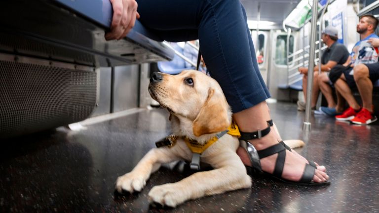 ampmGil190709_photos4