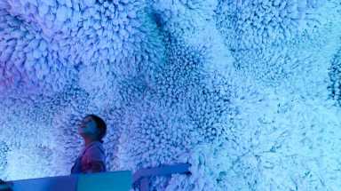 amnwARC190828_photos