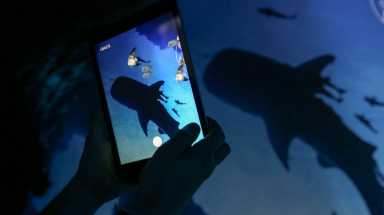 amnwARC190828_photos