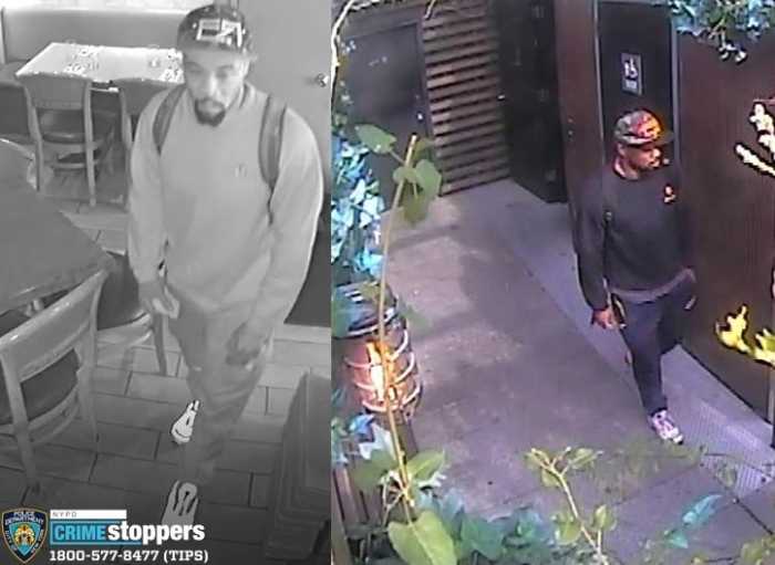 Midtown police blotter includes Kips Bay burglary pattern, a sex assault and a chain snatching 7