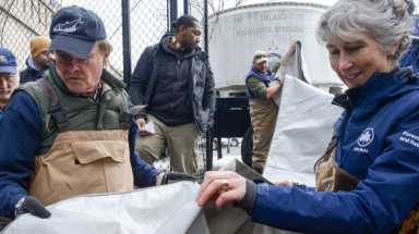 Helping the fish migrate along the Bronx River. 