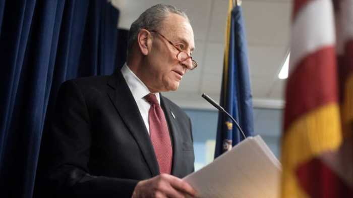 Schumer proposes $462 billion car swap - gas for electric 4