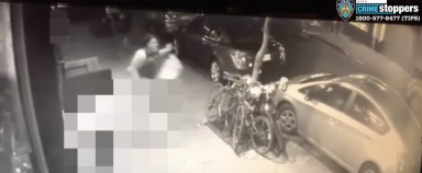 Screen Shot 2019-11-06 at 9.54.04 AM