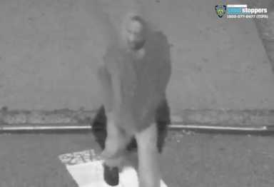 Screen Shot 2019-11-24 at 12.13.59 PM