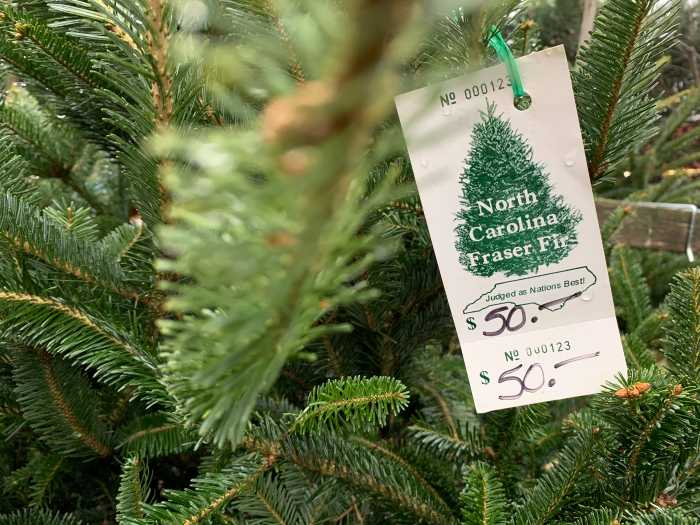 'Shop early': US Christmas trees supplies tight, prices up 11