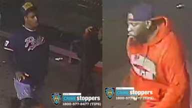 28 precinct stab duo