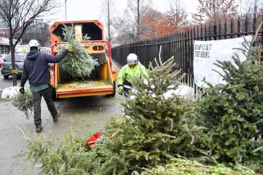 DA5_3440_010420_mulchfest maria hernandez
