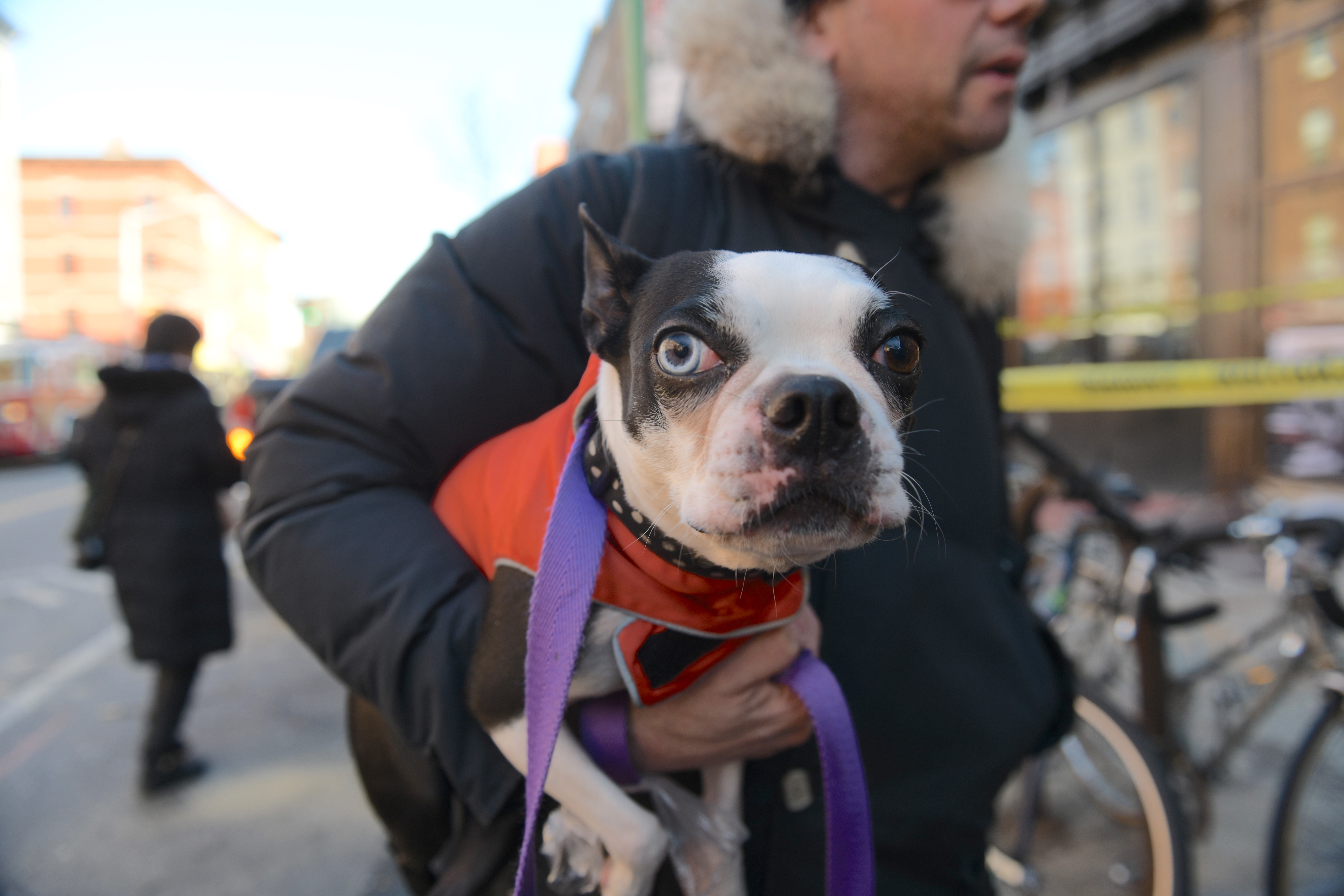 Faced with horrific choice, a Brooklyn firefighter-in-training and girlfriend die as home burns 7
