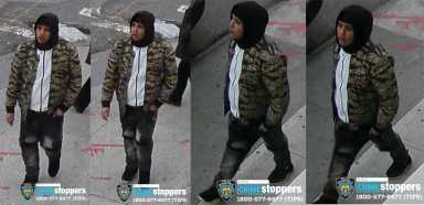11 year old kid robbery 83rd precinct