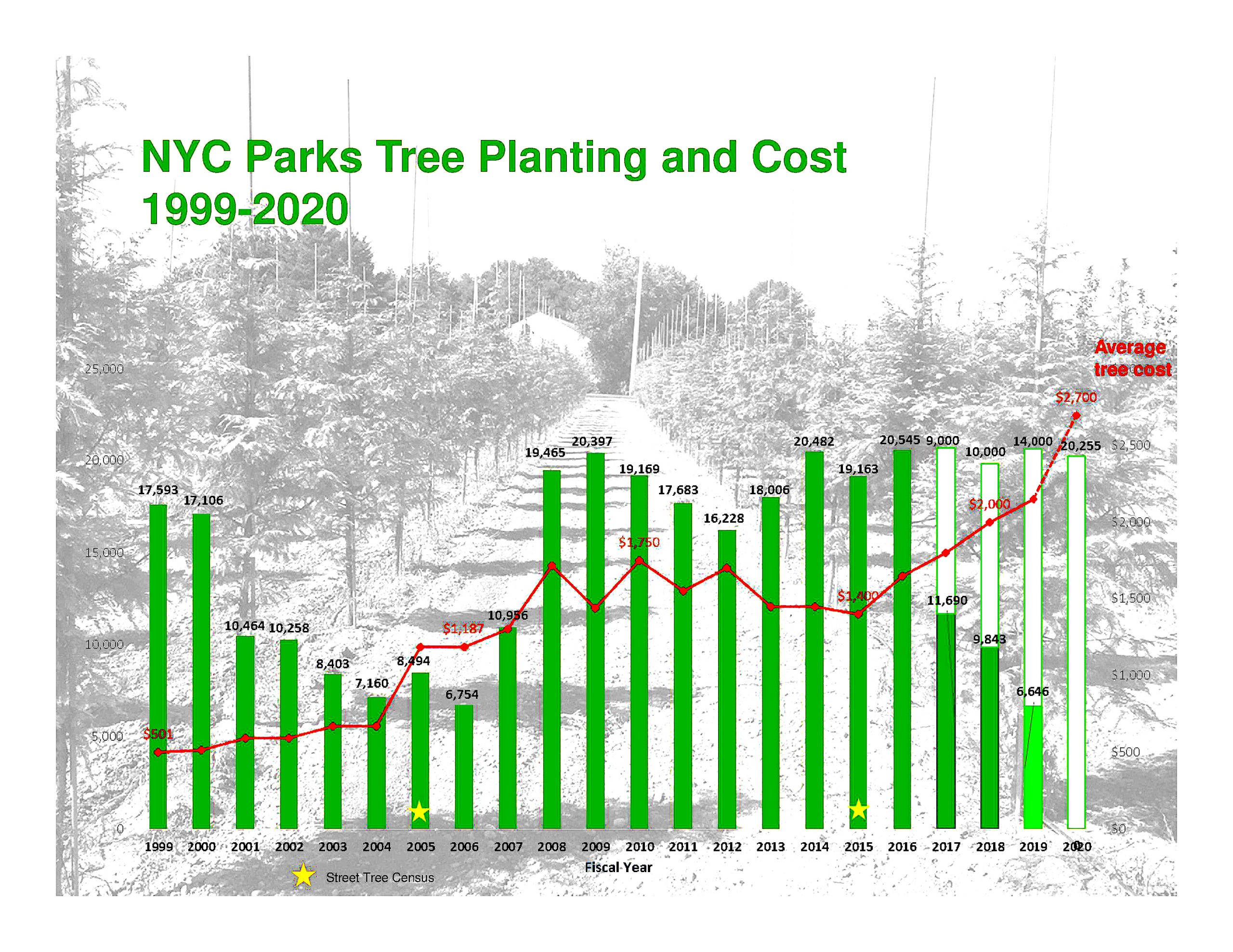 More green for less green: NYC tree planting programs slows due to rising costs 3
