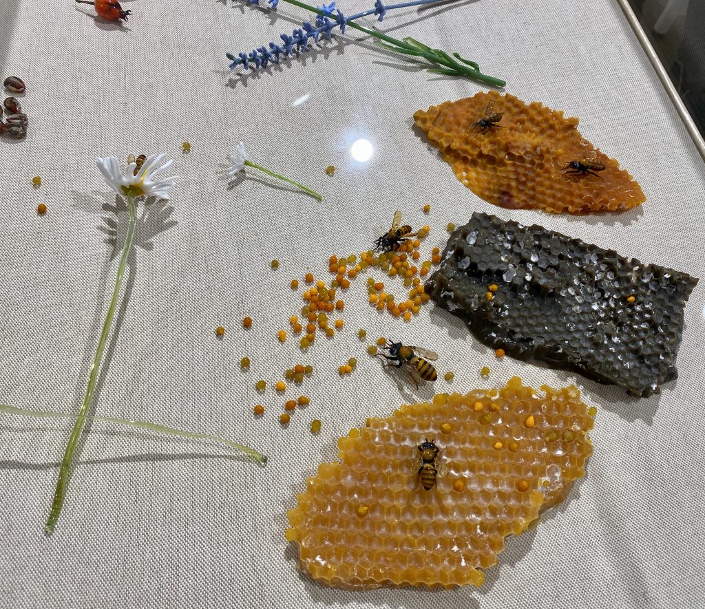 New Chelsea art show is all about saving the bees 4