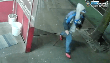 Screen Shot 2020-02-10 at 10.09.26 AM