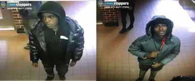 Village Blotter food deliv attacks alleg