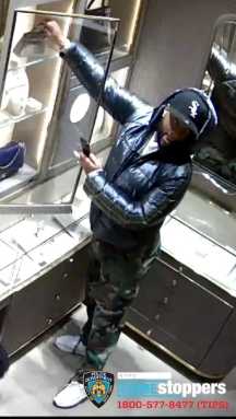 Village blotter goog Lab