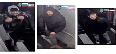 bx-manrobpattern-022920