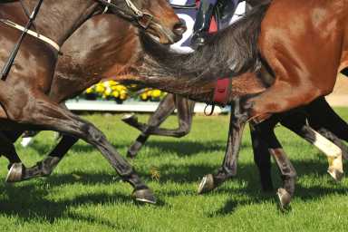 Horse racing action