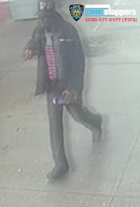 Older man assaulted and a theft from a vehicle in Village blotter 2