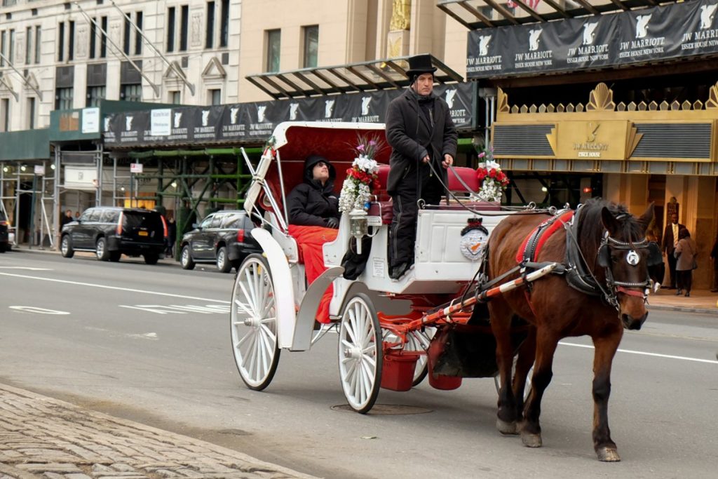 carriage-horses-2019-01-24-v01VILPRINT_WEBWEB-1024×683