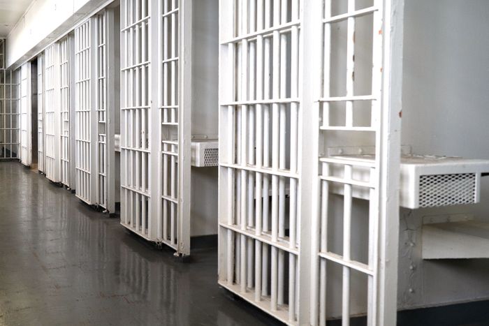 NYS Senate passes prison reform bill aiming to promote health and human rights of incarcerated pregnant people 3