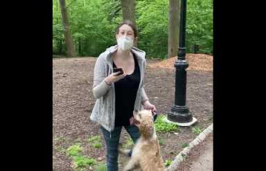 Screen Shot 2020-05-26 at 8.42.08 PM copy