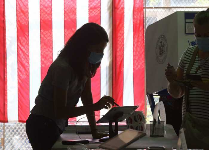 Free webinar this Thursday on how to vote safely in New York 4