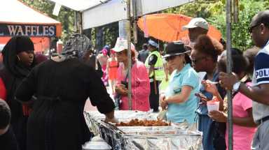 Last year's Harlem Week festivities at the "A Great Day in Harlem."