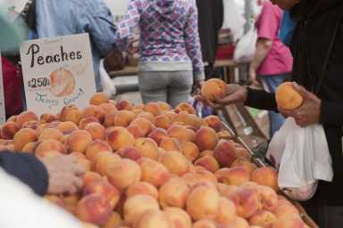 Tedjasukmana_cenyc_ebt_0571