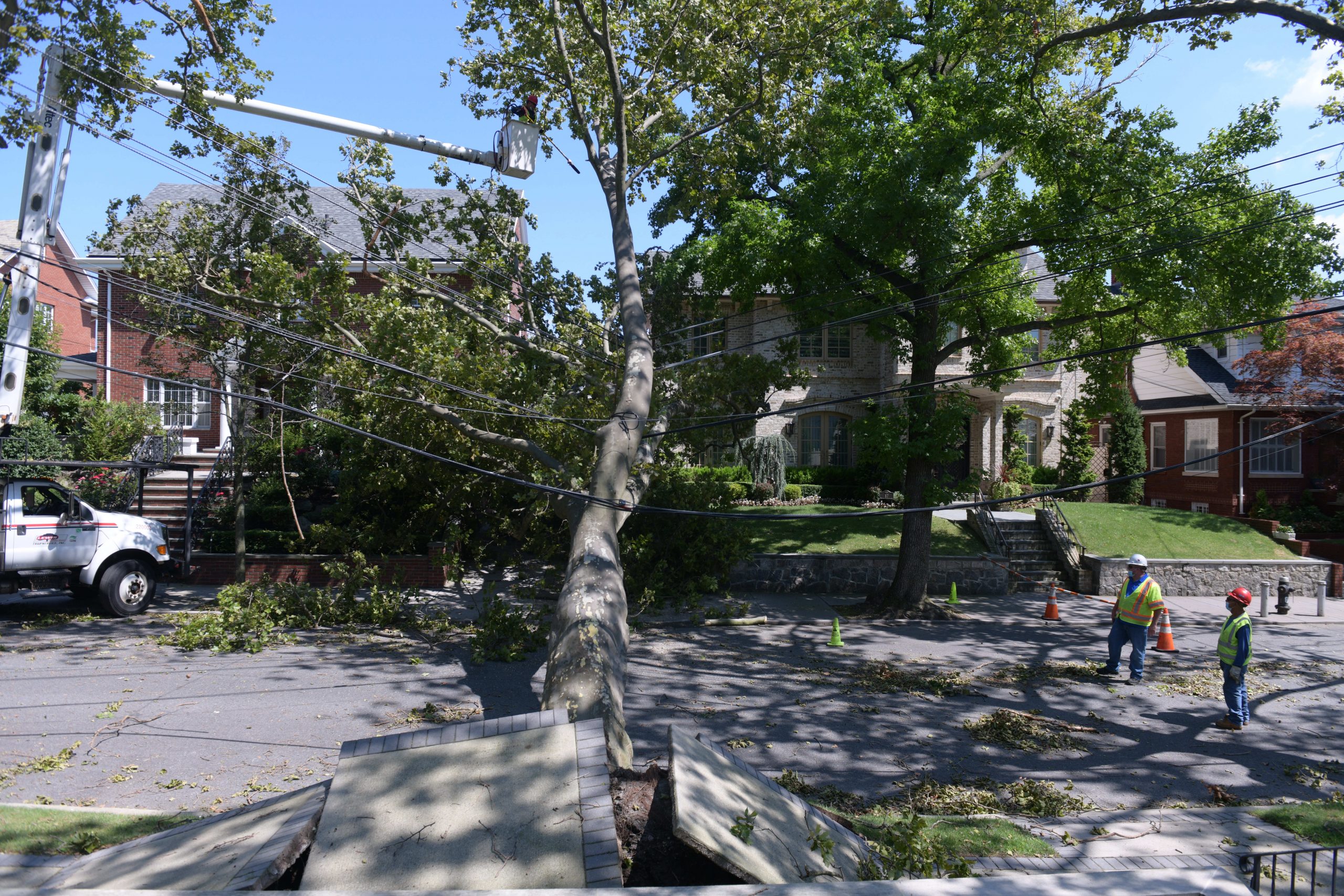 City still dealing with downed trees and power outages one day after tropical storm 3
