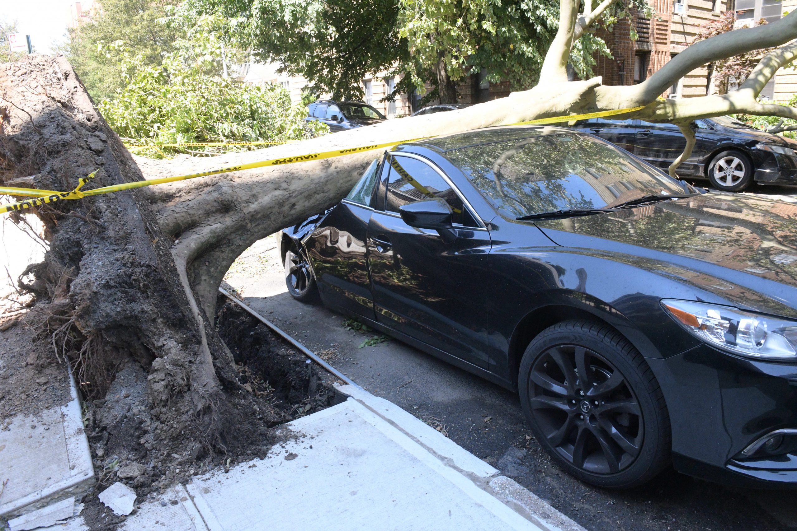 City still dealing with downed trees and power outages one day after tropical storm 10