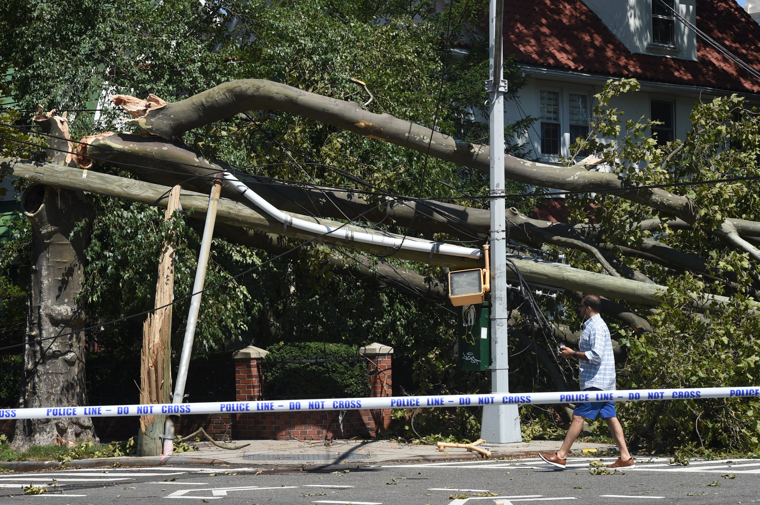 City still dealing with downed trees and power outages one day after tropical storm 7