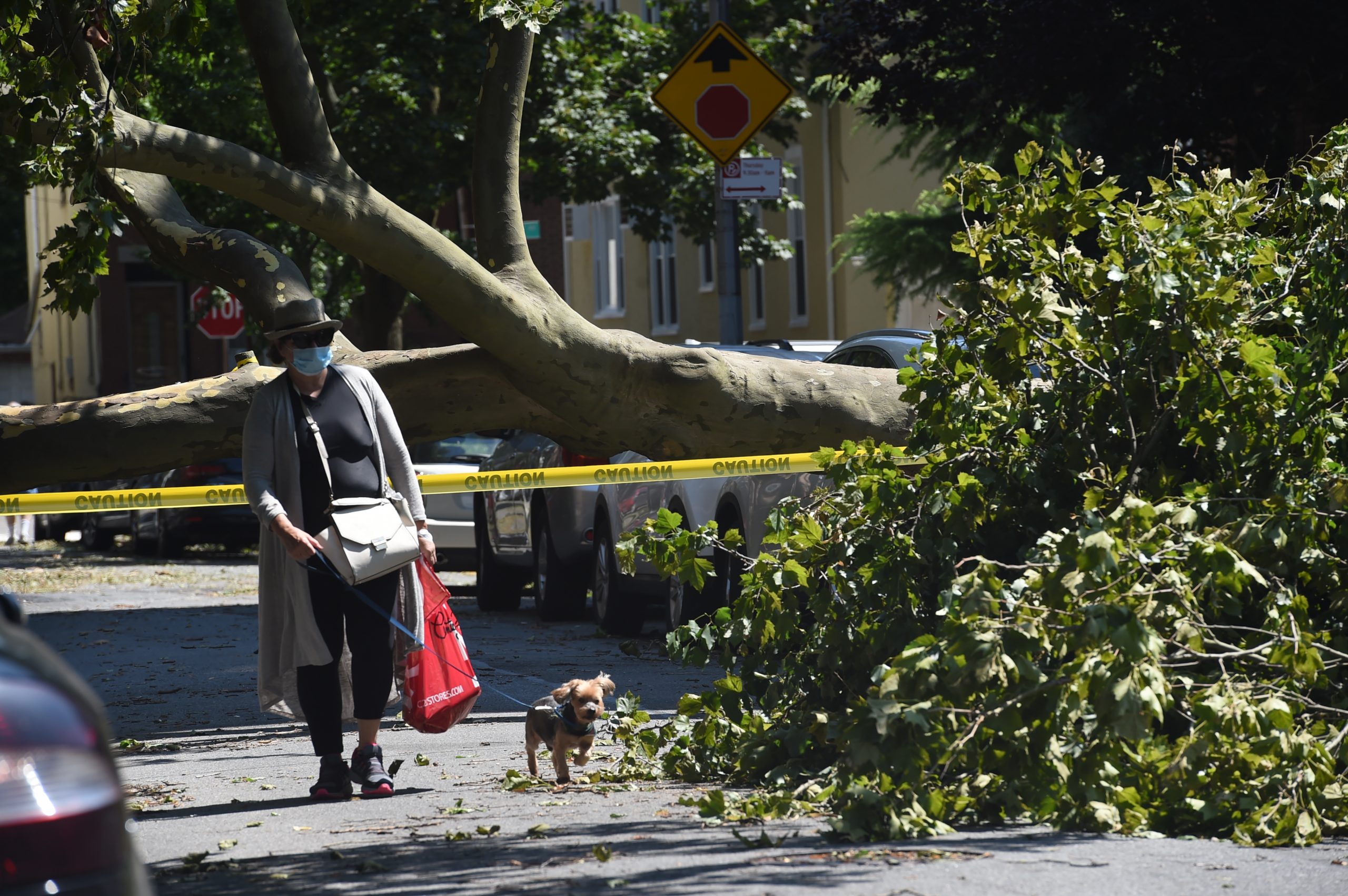 City still dealing with downed trees and power outages one day after tropical storm 9