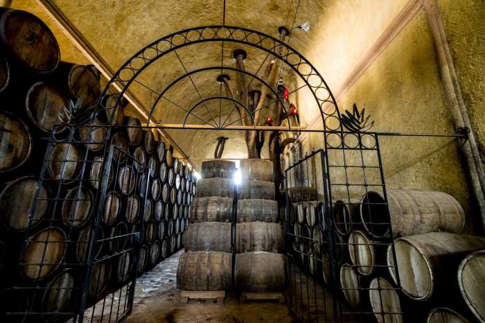 New York-based tequila company makes splash in wine & spirit community with authentic Mexican roots 4