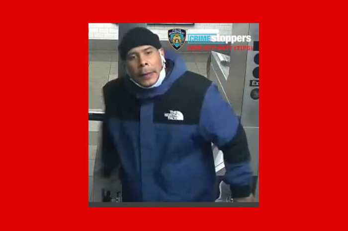 Slasher slices man's face on board 4 train at Grand Central Station: cops 8