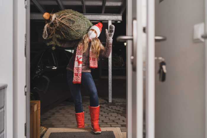 Why go through holiday hassle when you can have a Christmas tree delivered to your doorstep? 4