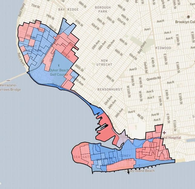 How did QAnon-supporting Republican Mark Szuszkievicz get so many votes in a Democratic Brooklyn district? 2
