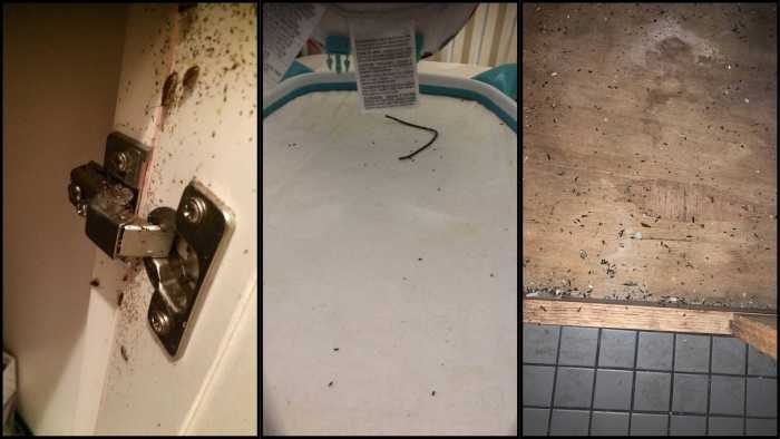 Op-Ed | Buses are essential to New York City despite being under-funded for years 5