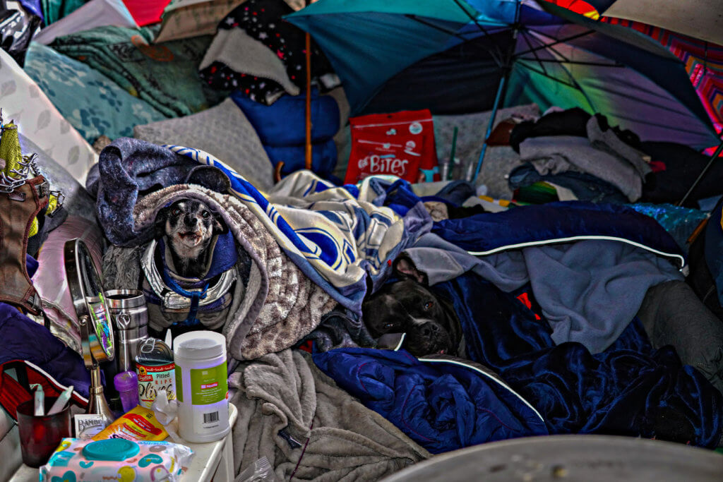 Home improvement: How the couple under the FDR Drive plan on moving 3